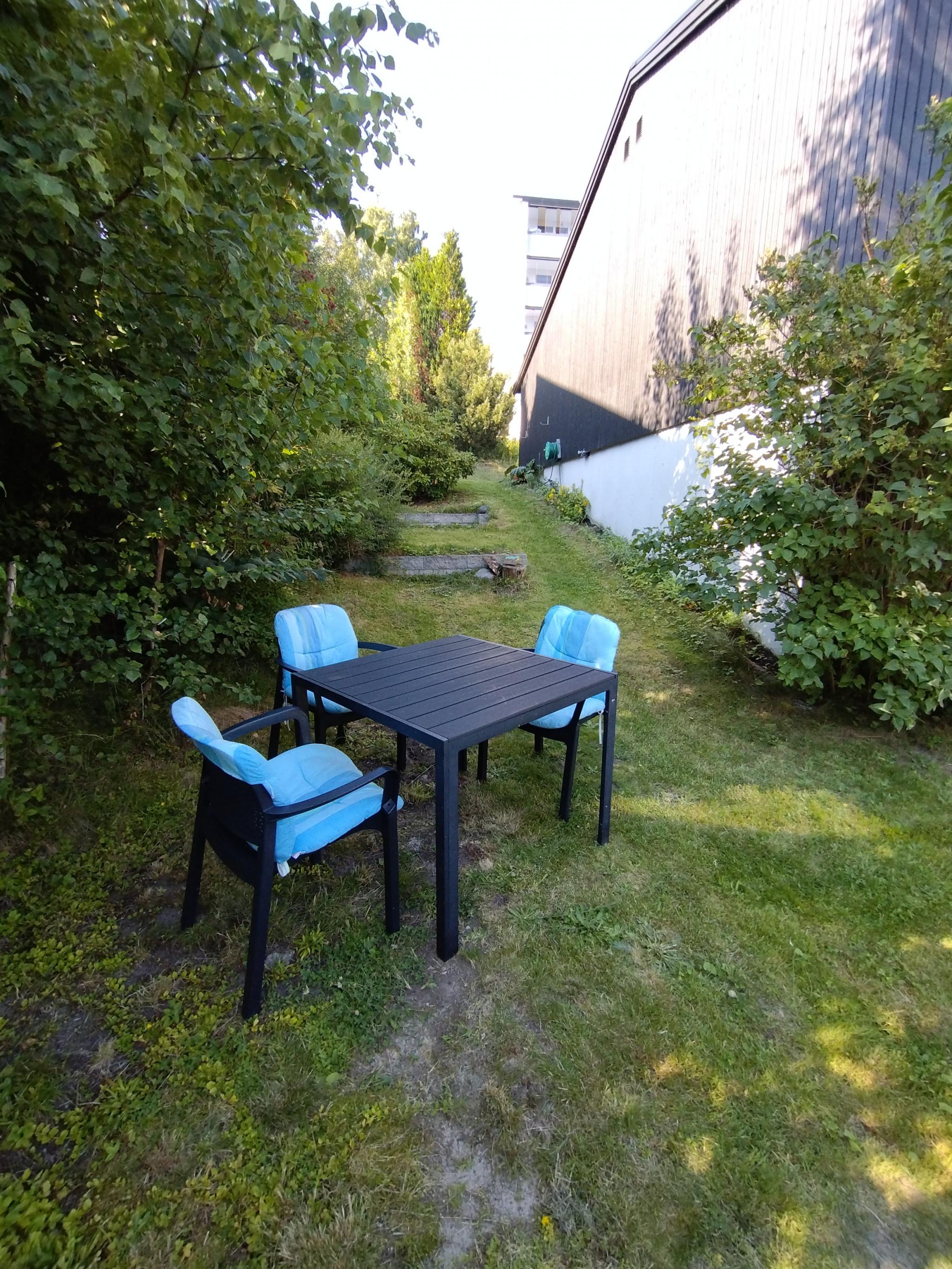 Det er flere plasser i den felles hagen med både sol og skygge